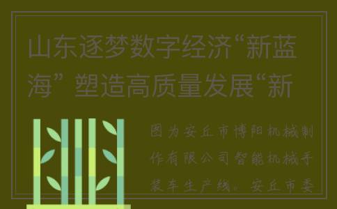山东逐梦数字经济“新蓝海” 塑造高质量发展“新引擎”