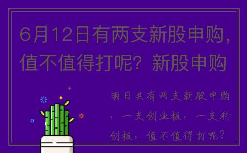 6月12日有两支新股申购，值不值得打呢？新股申购解析(6月12日有两支新冠疫苗吗)