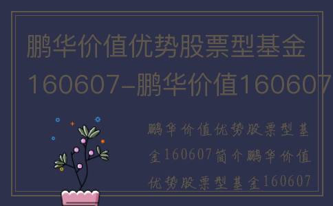 鹏华价值优势股票型基金160607-鹏华价值160607