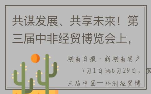 共谋发展、共享未来！第三届中非经贸博览会上，衡阳参展企业寻机遇(共谋发展什么意思)