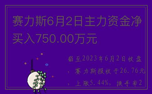 赛力斯6月2日主力资金净买入750.00万元