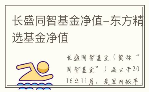 长盛同智基金净值-东方精选基金净值