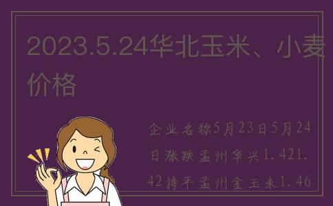 2023.5.24华北玉米、小麦价格