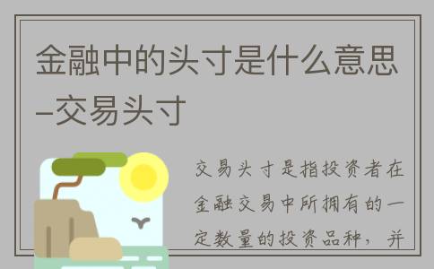 金融中的头寸是什么意思-交易头寸