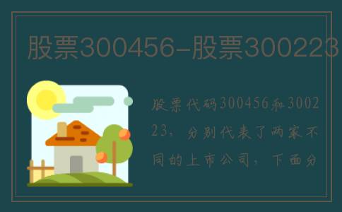 股票300456-股票300223