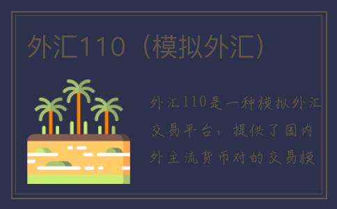 外汇110（模拟外汇）