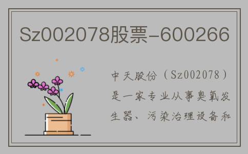 Sz002078股票-600266