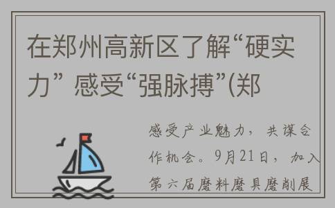 在郑州高新区了解“硬实力” 感受“强脉搏”(郑州高新区了最新疫情)