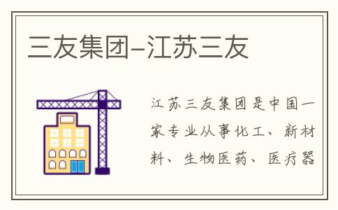 三友集团-江苏三友