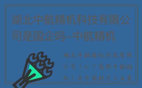 湖北中航精机科技有限公司是国企吗-中航精机