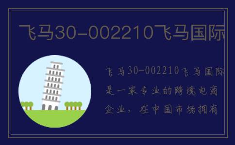 飞马30-002210飞马国际