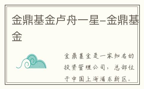 金鼎基金卢舟一星-金鼎基金