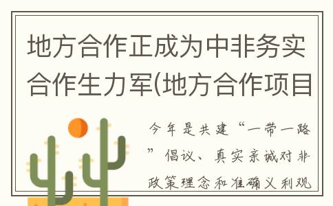 地方合作正成为中非务实合作生力军(地方合作项目)