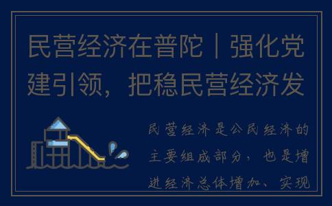 民营经济在普陀｜强化党建引领，把稳民营经济发展的“方向盘”(上海民营经济)