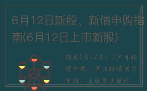 6月12日新股、新债申购指南(6月12日上市新股)