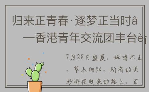 归来正青春·逐梦正当时——香港青年交流团丰台行活动成功举办(青春归来小说)