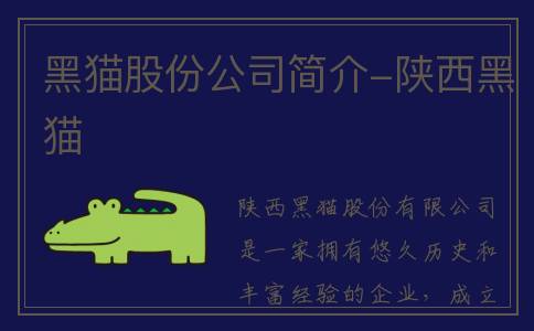 黑猫股份公司简介-陕西黑猫