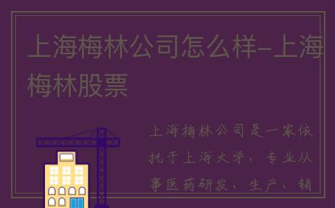 上海梅林公司怎么样-上海梅林股票