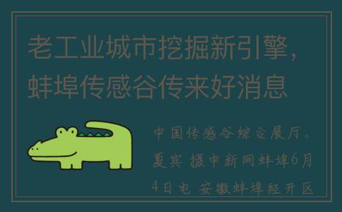 老工业城市挖掘新引擎，蚌埠传感谷传来好消息