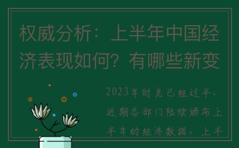 权威分析：上半年中国经济表现如何？有哪些新变化和新特点？(上半旬指的是啥时间)