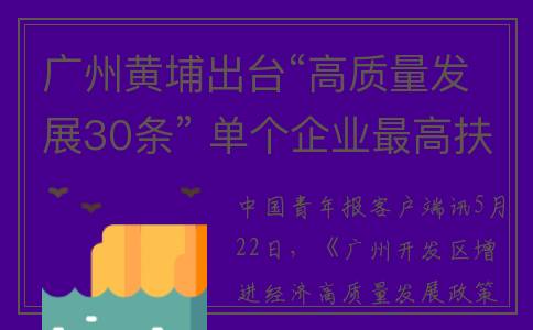 广州黄埔出台“高质量发展30条” 单个企业最高扶持1亿元