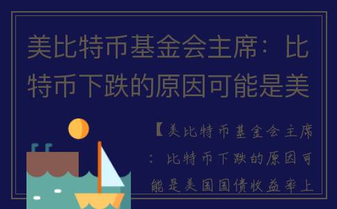 美比特币基金会主席：比特币下跌的原因可能是美国国债收益率上涨
