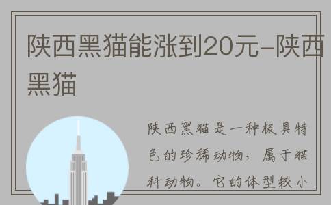 陕西黑猫能涨到20元-陕西黑猫