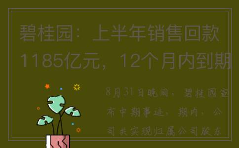 碧桂园：上半年销售回款1185亿元，12个月内到期债务1087亿元