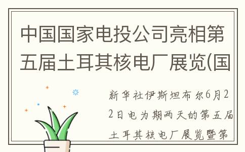 中国国家电投公司亮相第五届土耳其核电厂展览(国家电投电力有限公司)