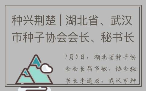 种兴荆楚 | 湖北省、武汉市种子协会会长、秘书长等到会员企业调研