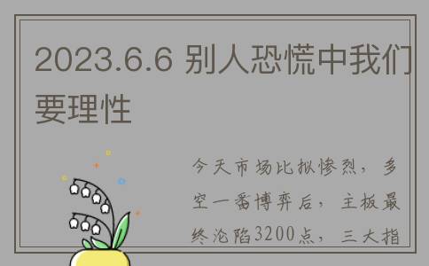 2023.6.6 别人恐慌中我们要理性