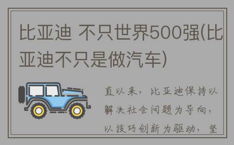 比亚迪 不只世界500强(比亚迪不只是做汽车)