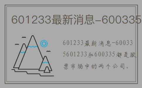 601233最新消息-600335