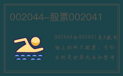 002044-股票002041