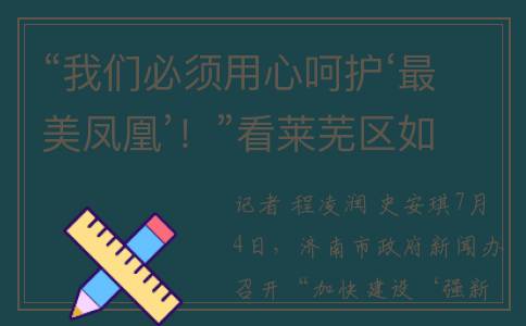 “我们必须用心呵护‘最美凤凰’！”看莱芜区如何发展民营经济(必须用心歌曲)