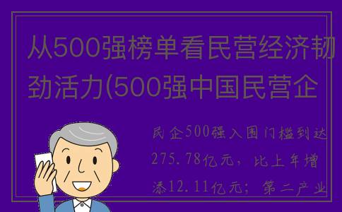 从500强榜单看民营经济韧劲活力(500强中国民营企业)