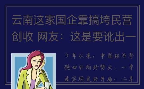 云南这家国企靠搞垮民营创收 网友：这是要讹出一套阿房宫？(云南效益好的国企)