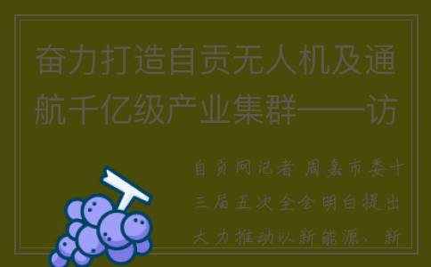 奋力打造自贡无人机及通航千亿级产业集群——访贡井区委书记张洪涛(自贡重大项目开工仪式)