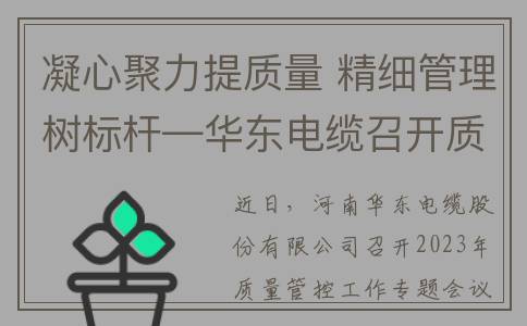 凝心聚力提质量 精细管理树标杆—华东电缆召开质量管控工作会议