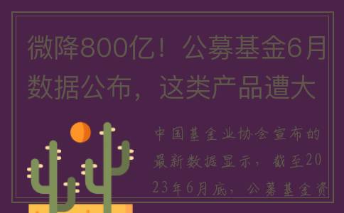 微降800亿！公募基金6月数据公布，这类产品遭大幅赎回(2021年后公募基金缩水)