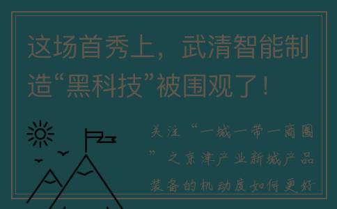 这场首秀上，武清智能制造“黑科技”被围观了！