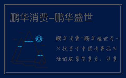 鹏华消费-鹏华盛世