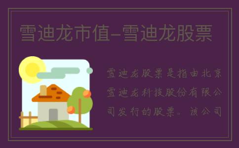 雪迪龙市值-雪迪龙股票
