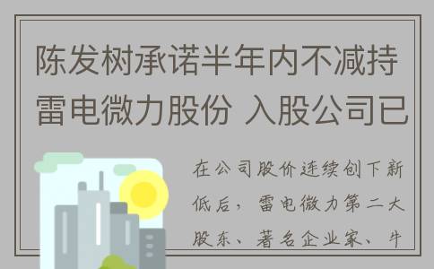 陈发树承诺半年内不减持雷电微力股份 入股公司已8年(陈发树关系)