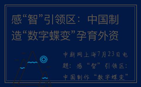 感“智”引领区：中国制造“数字蝶变”孕育外资在华发展新商机(引领和感召)