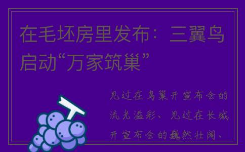 在毛坯房里发布：三翼鸟启动“万家筑巢”