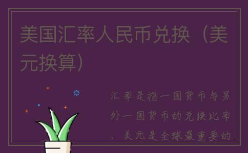 美国汇率人民币兑换（美元换算）