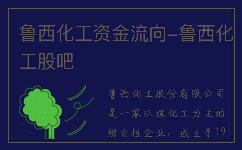 鲁西化工资金流向-鲁西化工股吧