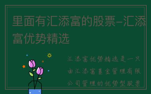 里面有汇添富的股票-汇添富优势精选