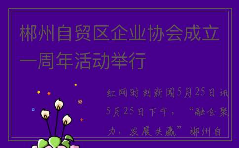 郴州自贸区企业协会成立一周年活动举行